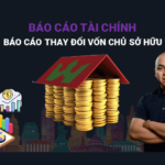 Báo Cáo Thay Đổi Vốn Chủ Sở Hữu
